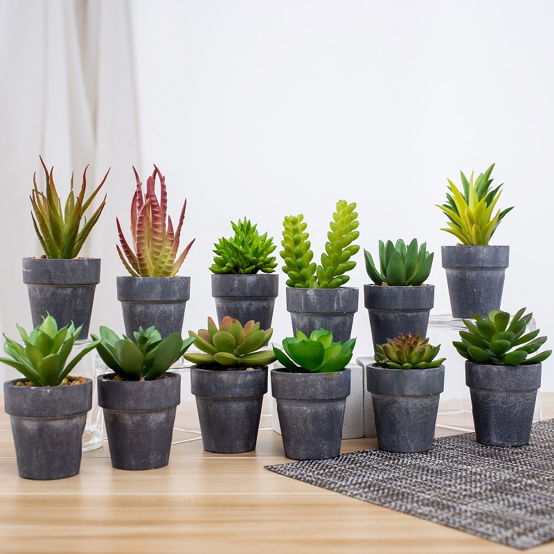 Wholesale鉢植えの人工多肉植物
