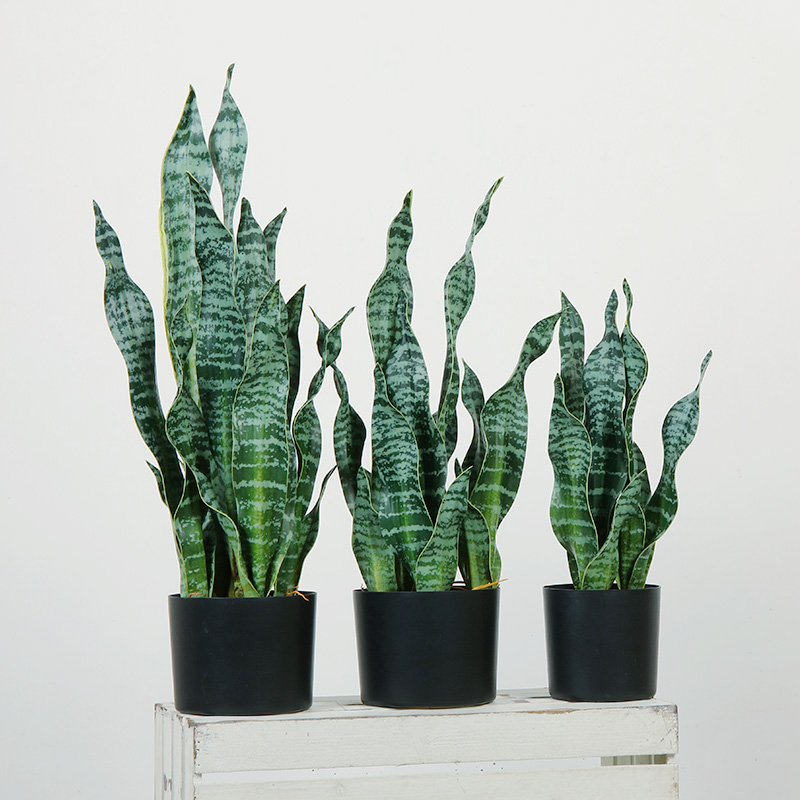 居間のための熱い販売グリーン屋内ホームプラスチック人工植物の装飾的なリビングルーム
